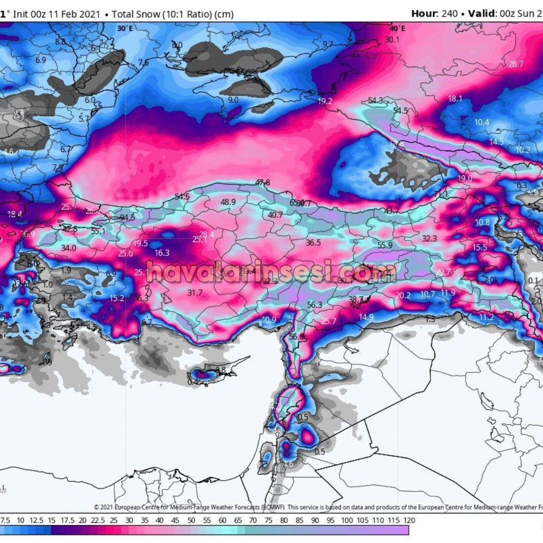 ECMWF
