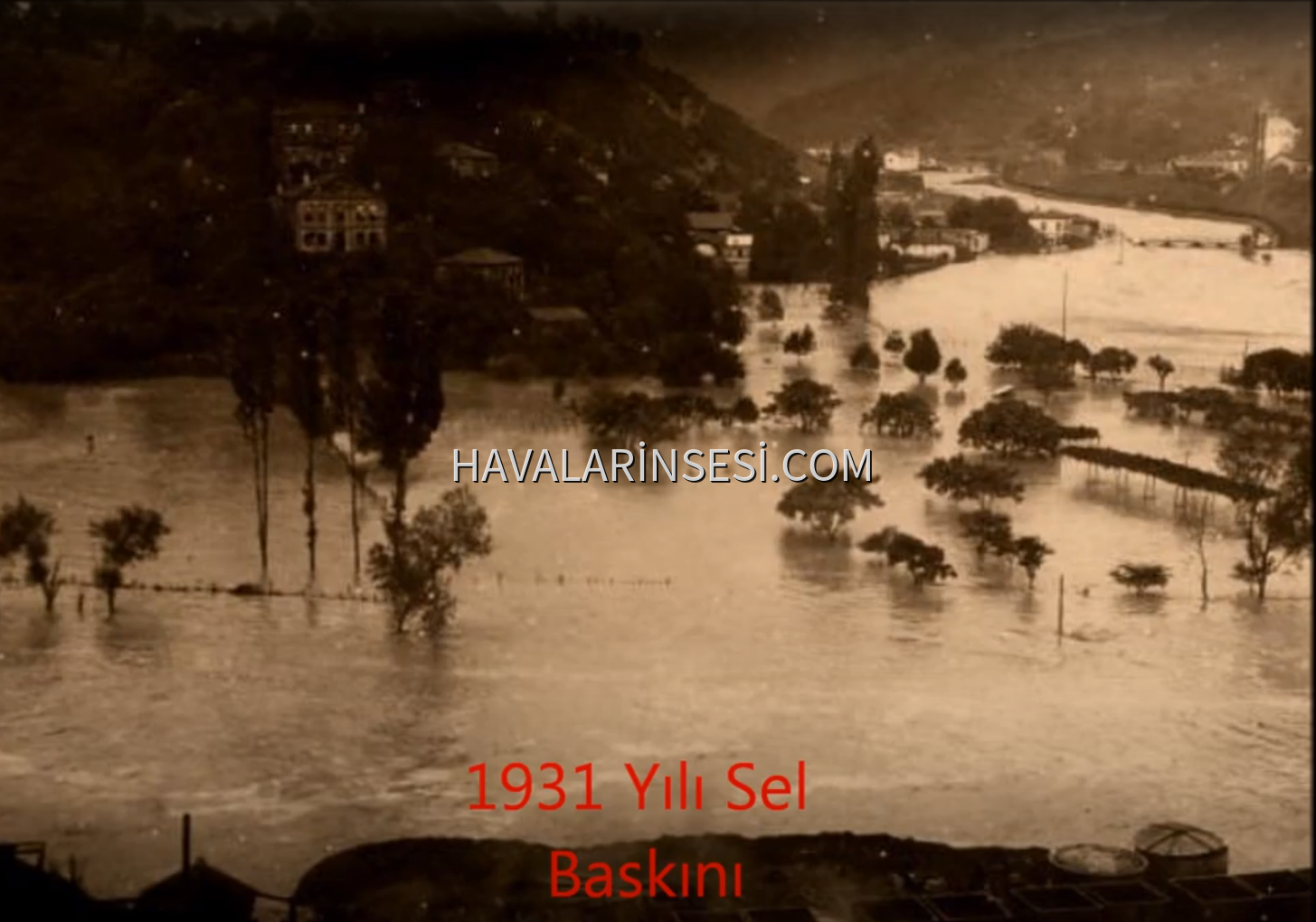 1931 SELİ ZONGULDAK