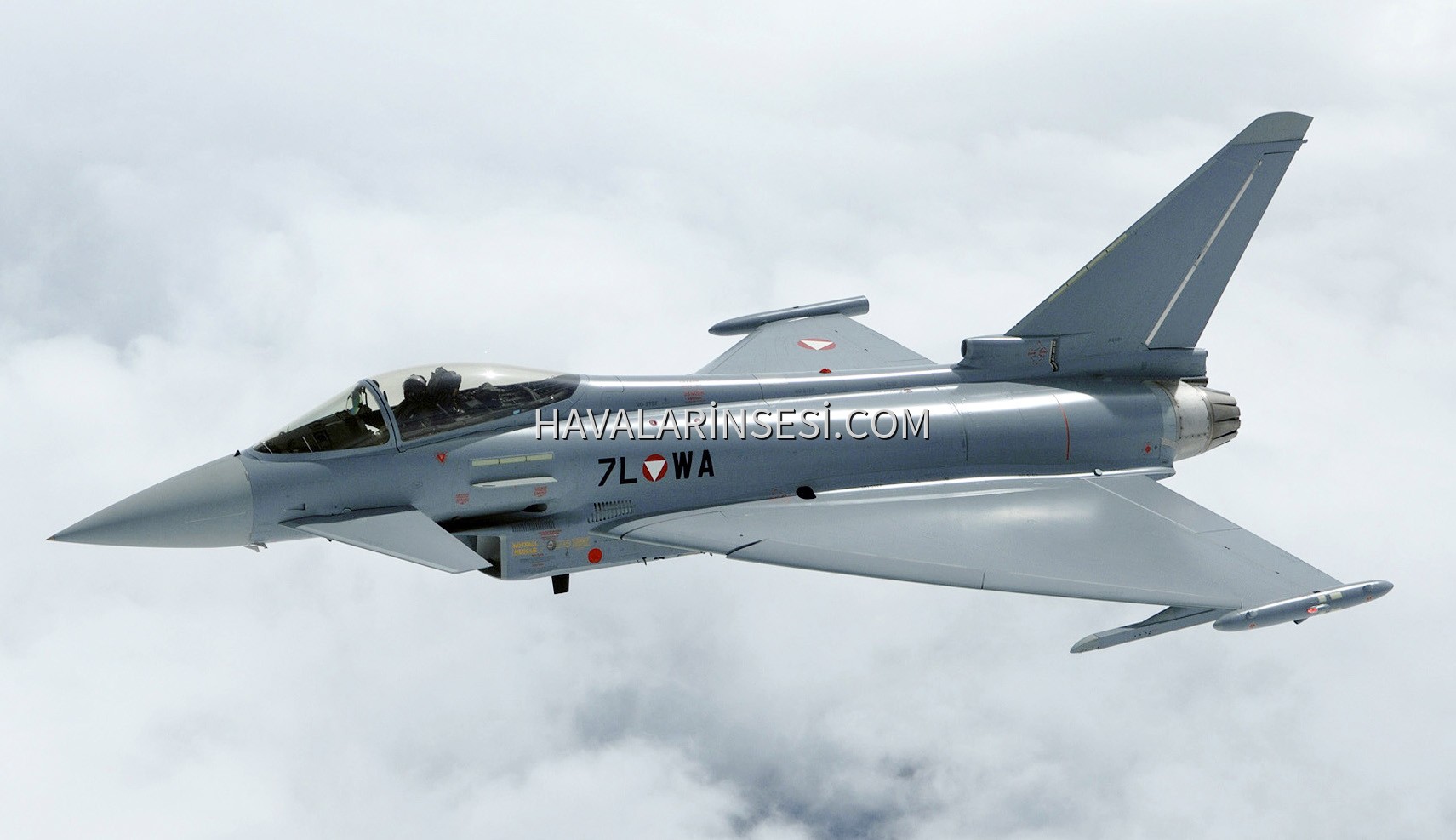 EURO FIGHTER