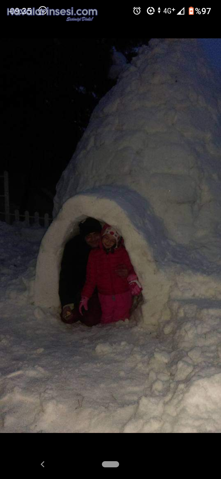 2017